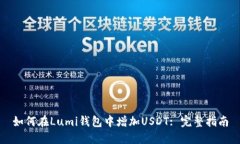 如何在Lumi钱包中增加USD