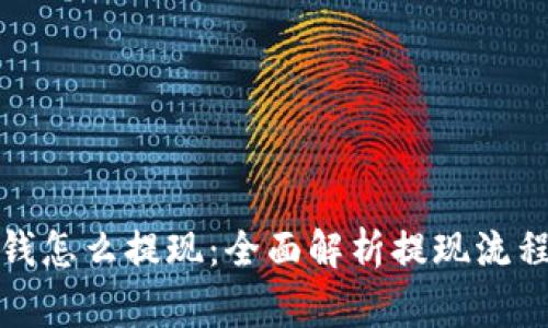 数字钱包的钱怎么提现：全面解析提现流程与注意事项