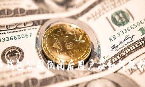 比特币钱包公司倒闭后用户应如何保护资产？