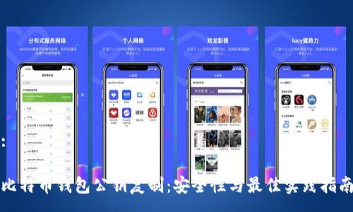 :

比特币钱包公钥复制：安全性与最佳实践指南