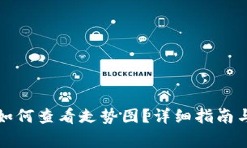 TP钱包中的币如何查看走势图？详细指南与常见问题解答
