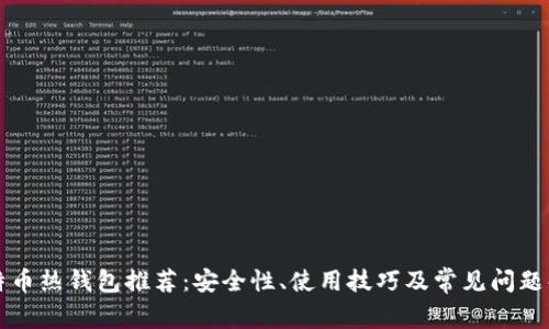 比特币热钱包推荐：安全性、使用技巧及常见问题解析