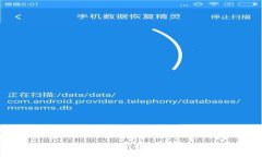 智云Web3与云鹤2S：掌握新