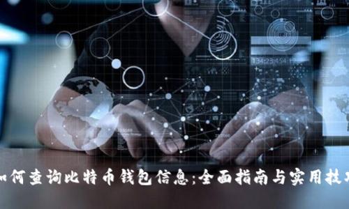 如何查询比特币钱包信息：全面指南与实用技巧
