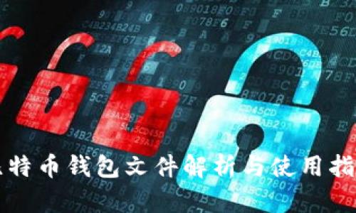 比特币钱包文件解析与使用指南