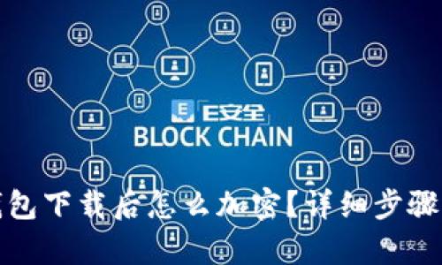 : 比特币钱包下载后怎么加密？详细步骤与技巧解析