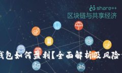 : USDT钱包如何盈利？全面