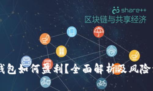 : USDT钱包如何盈利？全面解析及风险注意事项