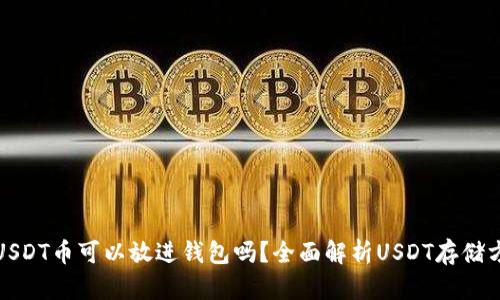 : USDT币可以放进钱包吗？全面解析USDT存储方式