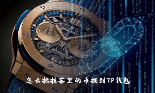 怎么把抹茶里的币提到TP钱包