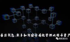 番茄钱包：新手如何安全