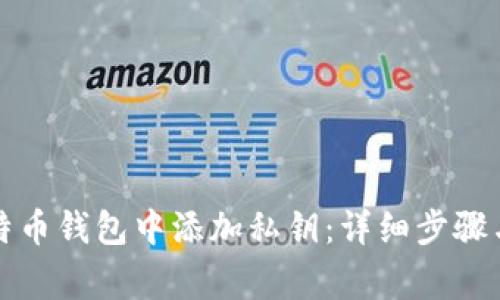如何在比特币钱包中添加私钥：详细步骤与注意事项