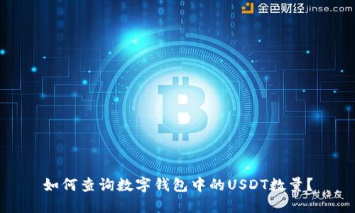如何查询数字钱包中的USDT数量？