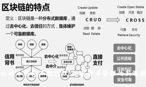 比特币钱包二次代理：加密货币管理的新选择
