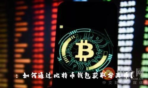 : 如何通过比特币钱包获取分叉币？