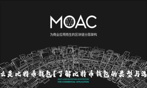 什么是比特币钱包？了解比特币钱包的类型与选择