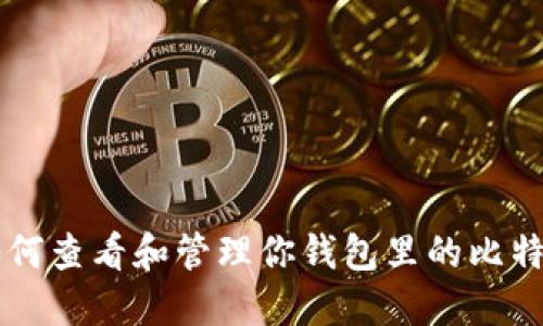 如何查看和管理你钱包里的比特币