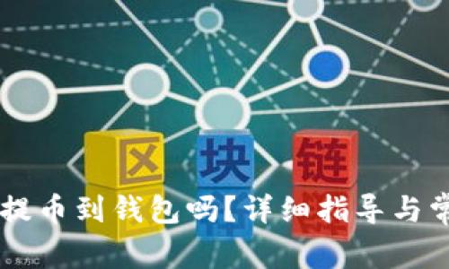 : USDT可以提币到钱包吗？详细指导与常见问题解答
