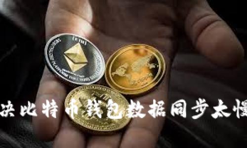 如何解决比特币钱包数据同步太慢的问题