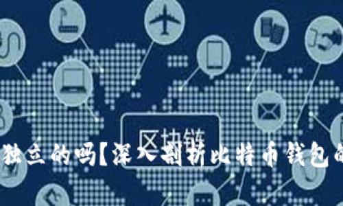 比特币钱包：是独立的吗？深入剖析比特币钱包的功能与安全性