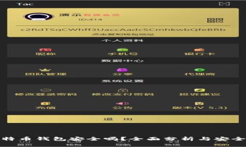 存比特币钱包安全吗？全面分析与安全建议