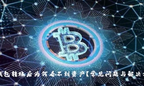 TP钱包转账后为何看不到资产？常见问题与解决方案