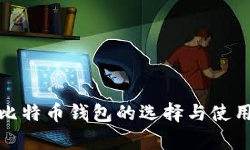 安卓比特币钱包的选择与使用指南