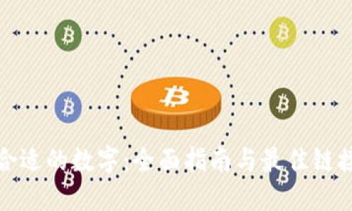 选择合适的数字：全面指南与最佳链接推荐